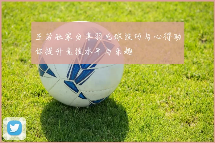 王芳独家分享羽毛球技巧与心得助你提升竞技水平与乐趣