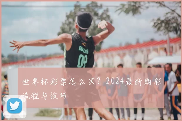 世界杯彩票怎么买？2024最新购彩流程与技巧
