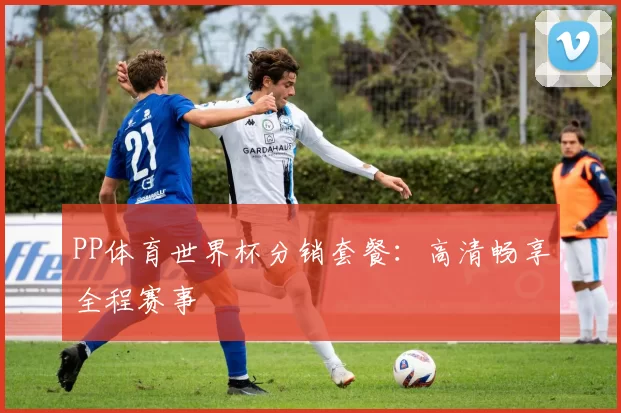 PP体育世界杯分销套餐：高清畅享全程赛事