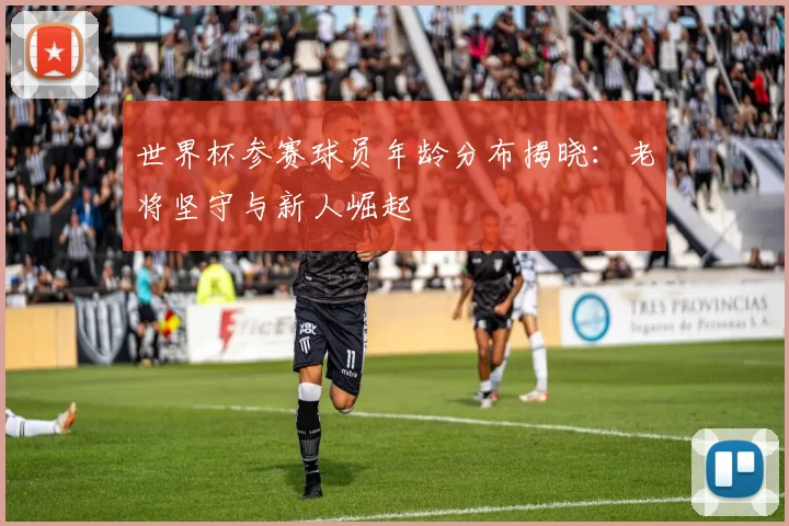 世界杯参赛球员年龄分布揭晓：老将坚守与新人崛起