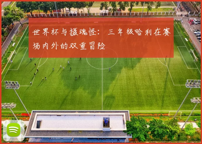 世界杯与摄魂怪:三年级哈利在赛场内外的双重冒险