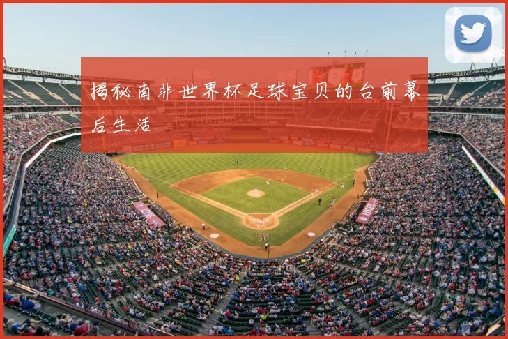 揭秘南非世界杯足球宝贝的台前幕后生活